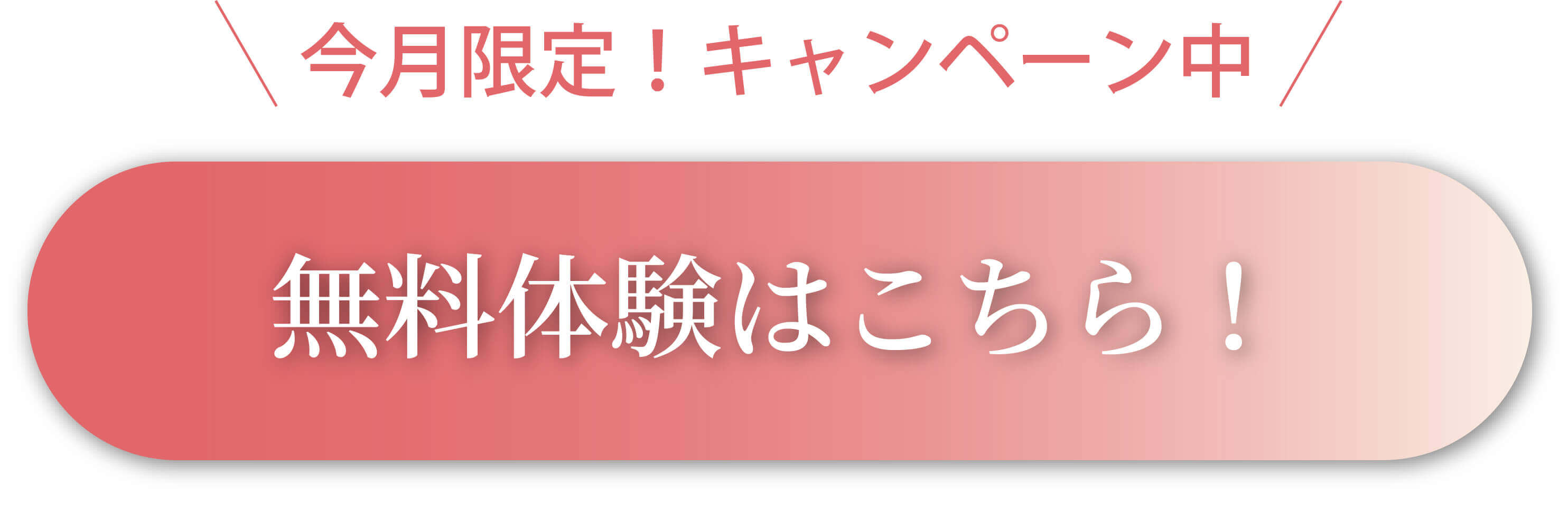 無料体験はこちら
